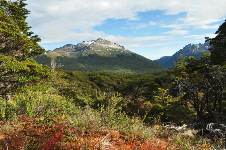 Ushuaia – trekking pictures in Tierra del Fuego