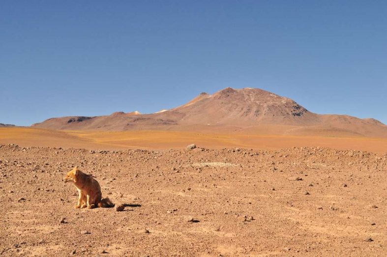 San Pedro De Atacama i Bolivia border crosing