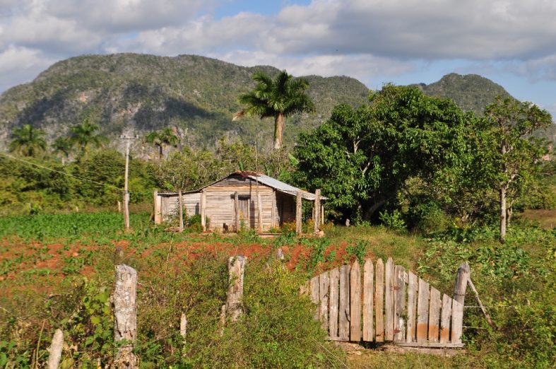 Valle de Vinales (Western Cuba)