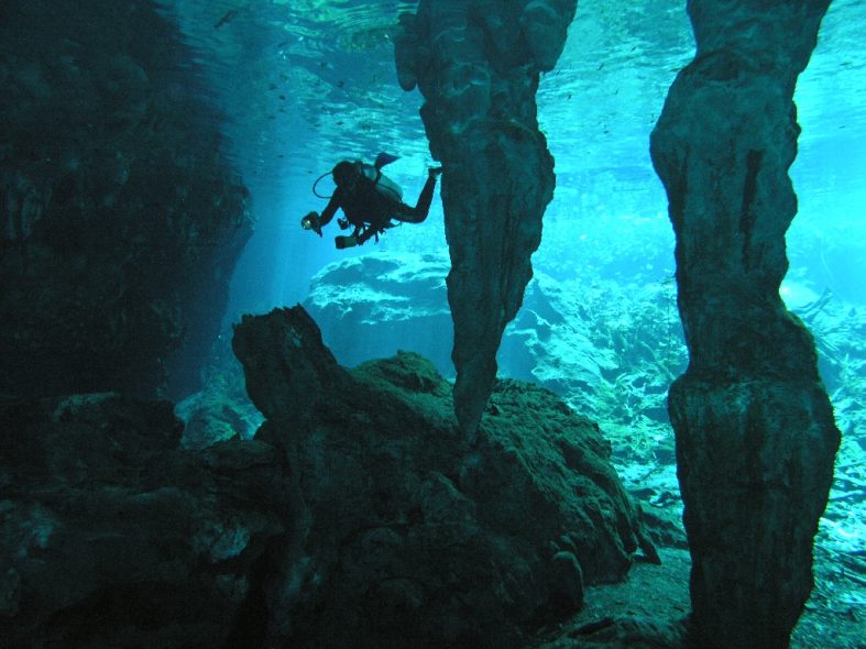 Cenotes diving with Easy Chango Bratjami