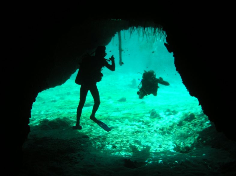 Cenotes diving with Easy Chango Bratjami