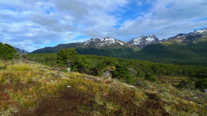 Ushuaia – trekking pictures in Tierra del Fuego