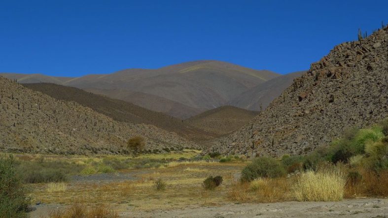 Salinas Grandes, around Salta (Argentina catch up I.)