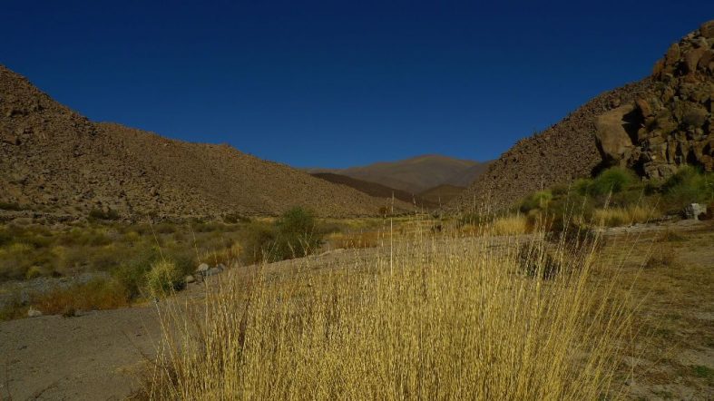 Salinas Grandes, around Salta (Argentina catch up I.)