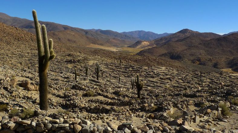 Salinas Grandes, around Salta (Argentina catch up I.)