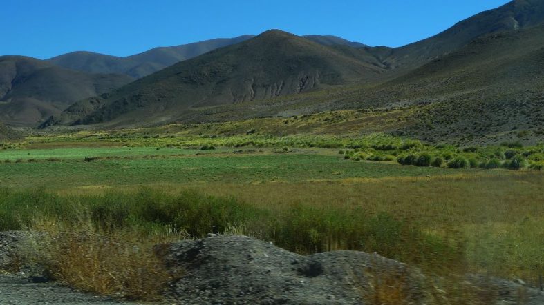 Salinas Grandes, around Salta (Argentina catch up I.)