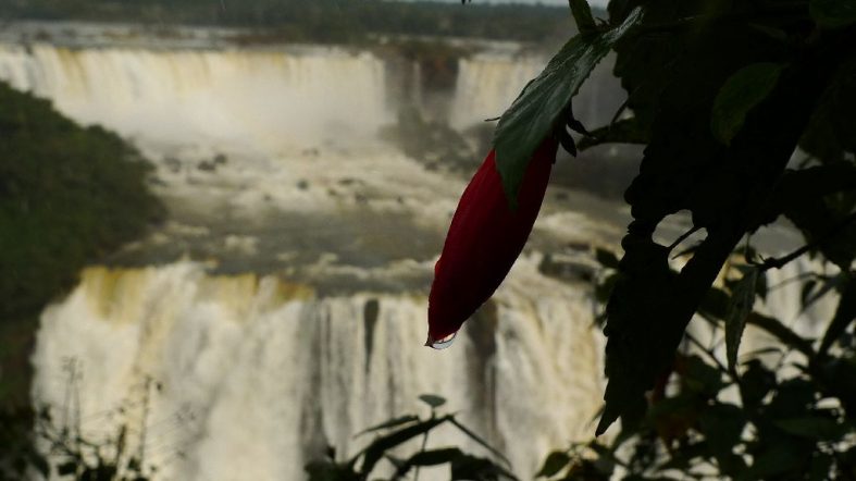 Foz do Iguacu, Brasil