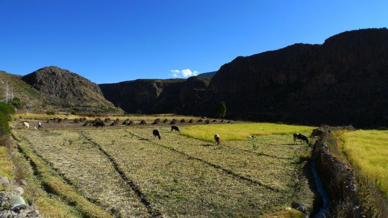 Chivay & Cruz del Condor – Arequipa Region