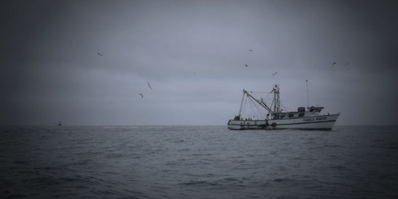 Puerto Lopez & Whalewatching (Pacific Coast/Ecuador)