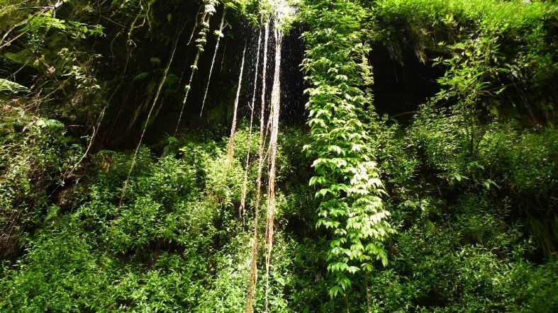 Banaue – Komu sa neleni, tomu sa zeleni