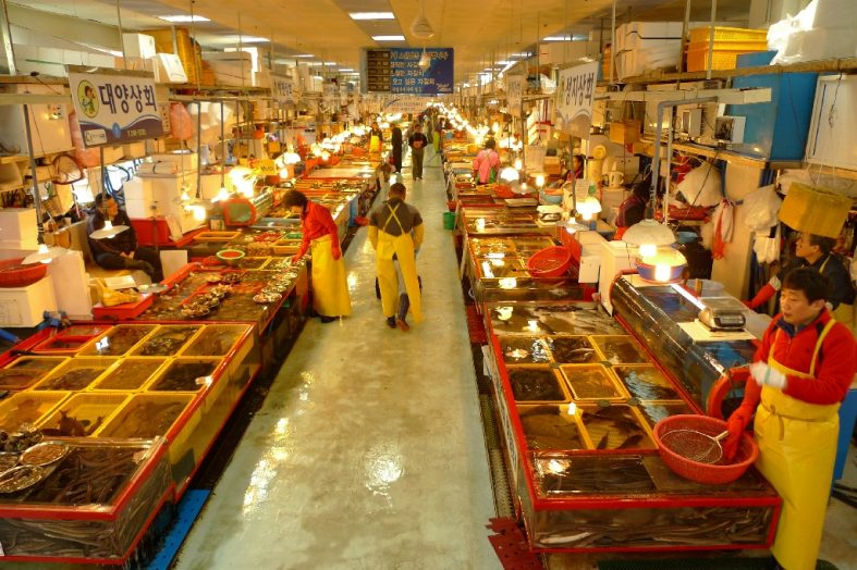 Jagalchi Fish Market (Busan, Korea)