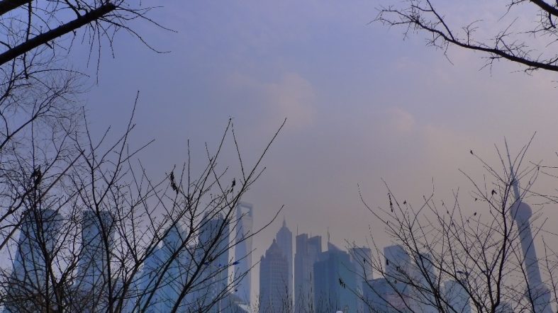 Shanghai City Pix
