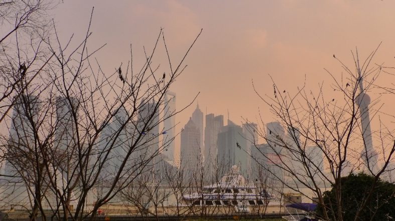 Shanghai City Pix