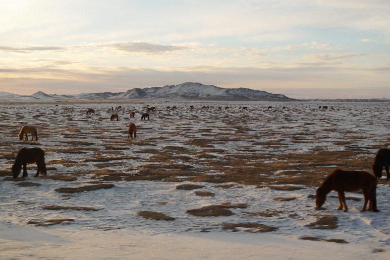 Across Winter Mongolia (Pictures Day 1&2)