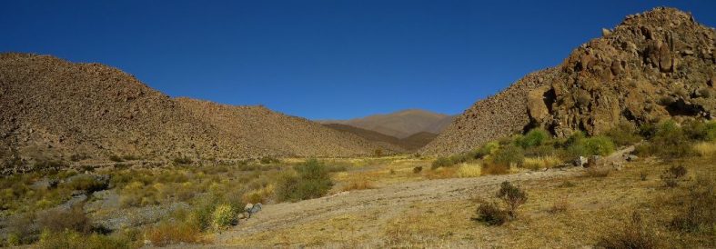 Salinas Grandes, around Salta (Argentina catch up I.)