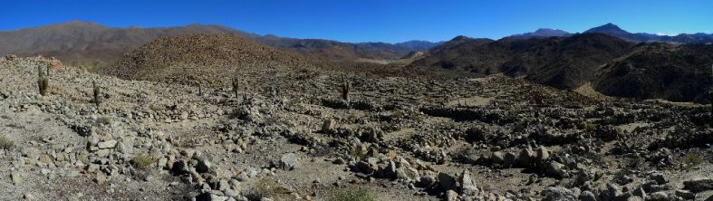 Salinas Grandes, around Salta (Argentina catch up I.)