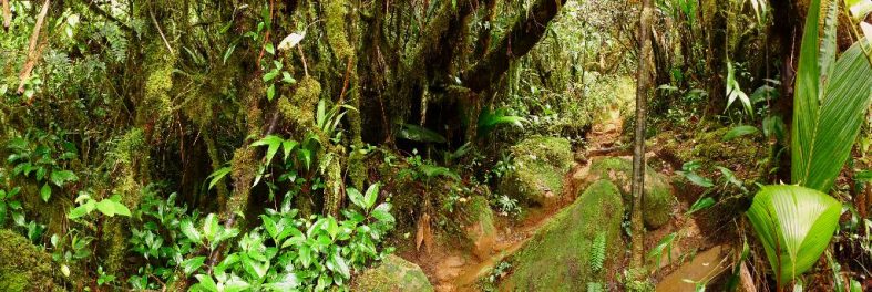 Drtili a boli drteni – 6 day trek to Roraima, The Lost World (Venezuela)