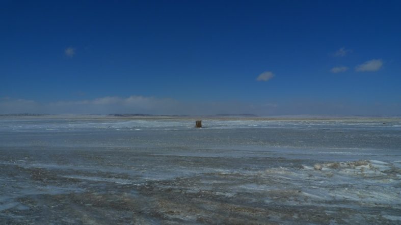 Roadtrippin’ Mongolia